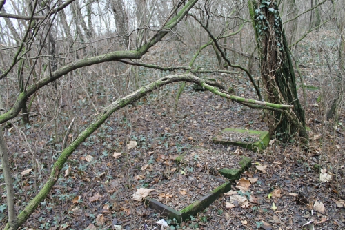 35.jpg