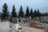 Kliknij, aby zobaczyć. 20_t1.jpg