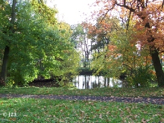 p2.jpg