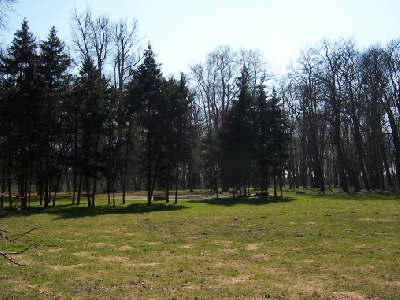 pp6.jpg